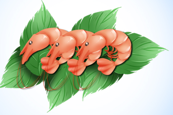 С��Ϻʲô�˲��ʺϳ� ʲô�˲��ܳ�С��Ϻ